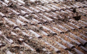 Abbeydale roof cleaning companies